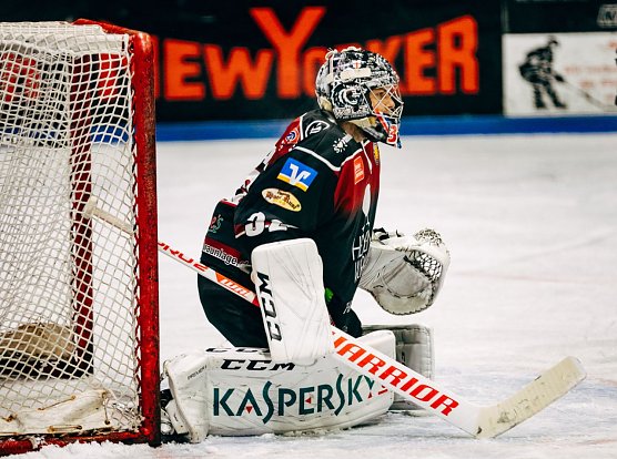Fabian H&ouml;nkhaus (Foto: Harzer Falken)