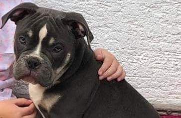 Wo ist Memphis? (Foto: privat)