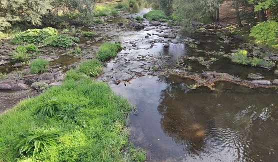 Blick auf die Zorge Ende August 2018 (Foto: nnz-Archiv)