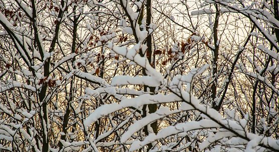 Wetterbild (Foto: Gernot Thelemann)