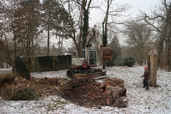 Auch im oberen Teil des Parks wurde heute gearbeitet (Foto: Angelo Glashagel)