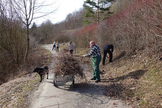 Vorbereitungen auf die Kr&ouml;tenwanderung bei Hainrode (Foto: LPV)