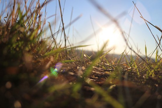 Wetterbild (Foto: A. Müller) Wetterbild (Foto: A. Müller)