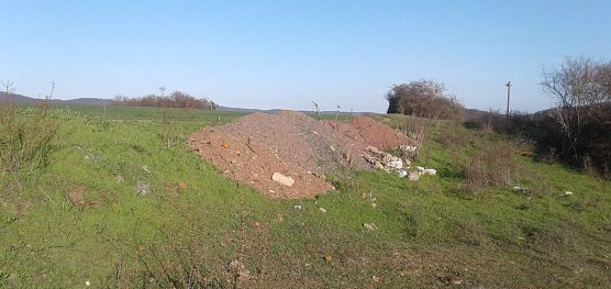 Die in der N&auml;he des Singerberggipfels im Naturschutzgebiet Alter Stolberg an einem Wegrand illegal abgekippten Erdhaufen beg&uuml;nstigen u.a. die weitere Ausbreitung des dort bereits siedelnden invasiven Neophyten Orientalische Zackenschote (Bunia orientalis). Dieser stellt zus&auml;tzlich zu den schon bestehenden Beeintr&auml;chtigungen einen weiteren negativen Einflussfaktor dar. (Foto: Bodo Schwarzberg)