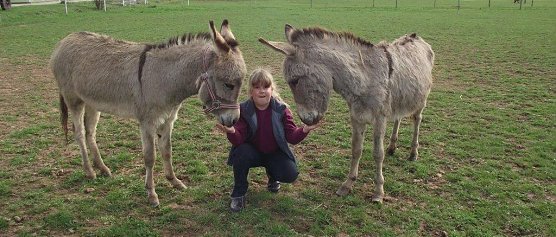 Th&uuml;ringer Waldesel vor dem Aussterben gerettet (Foto: Kurt Frank)