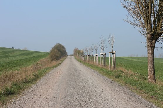 Wetterbild (Foto: Angelo Glashagel)