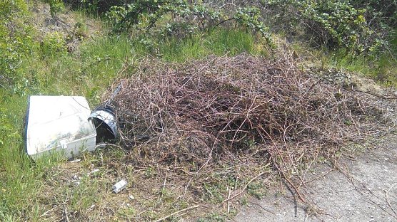  Dem Gestr&uuml;pp gesellte sich Unrat hinzu, der nicht verrottet. (Foto: Kurt Frank)