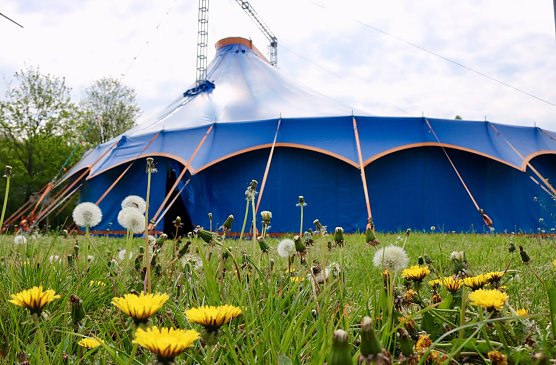 Schon vor der gro&szlig;en Saisoner&ouml;ffnung im Zappelini-Zelt in Nordhausen an diesem Samstag &ouml;ffnet sich das Zelt f&uuml;r Neugierige (Foto: Jessica Piper)