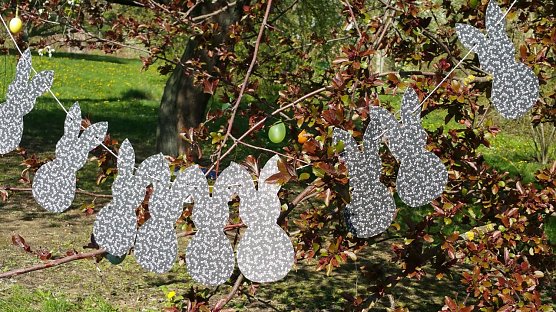 Balu und Ich - Osterprojekt an der Hochschule (Foto: Melano Dadalauri)