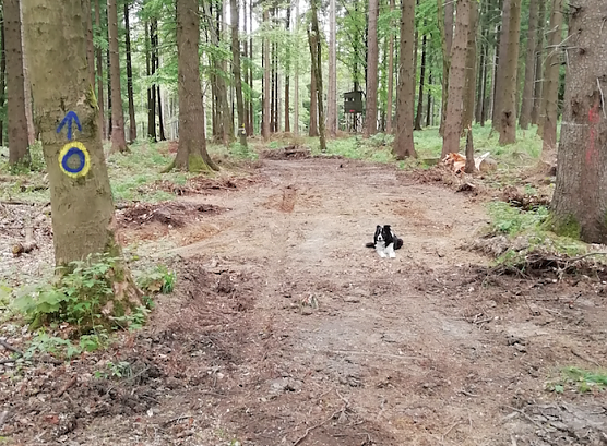 Nach der Sanierung (Foto: Wolfgang J&ouml;rgens)