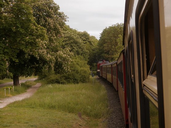 Zwischen Schurzfell und Altentor (Foto: Bernd Thielbeer)