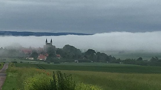 Am Morgen bei M&uuml;nchenlohra (Foto: St. Becker)