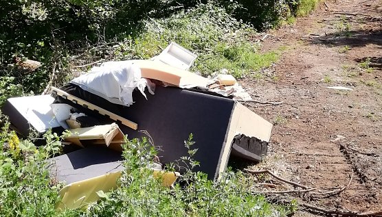 M&uuml;ll in der Natur (Foto: W. J&ouml;rgens)