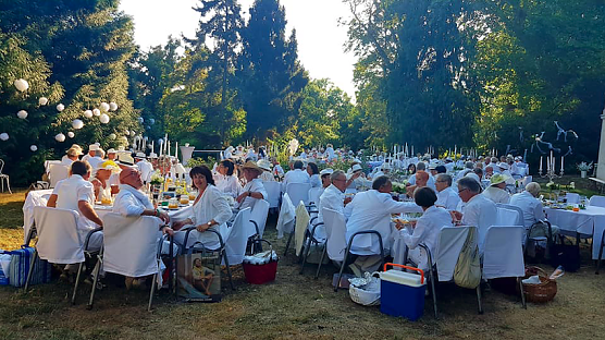 diner en blanc (Foto: Tom Landsiedel)