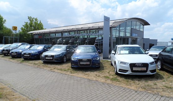 Preis f&uuml;r Albertsmeyer (Foto: AUDI)