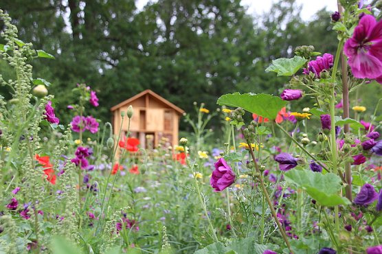 borntalprojekt (Foto: Stadt Nordhausen)