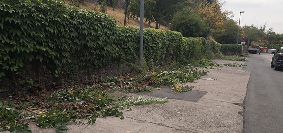 Heute bietet sich dieses Bild (Foto: nnz)