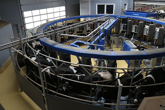 Das Milchkarussell (Foto: Angelo Glashagel) Das Milchkarussell (Foto: Angelo Glashagel)