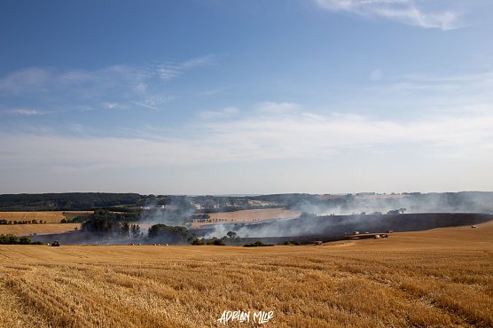 Fl&auml;chenbrand bei Ellrich (Foto: Adrian M&uuml;ller)