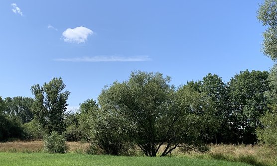 wetter (Foto: oas) wetter (Foto: oas)