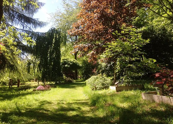 Ahornpark (Foto: Dr. Judith Hesse) Ahornpark (Foto: Dr. Judith Hesse)