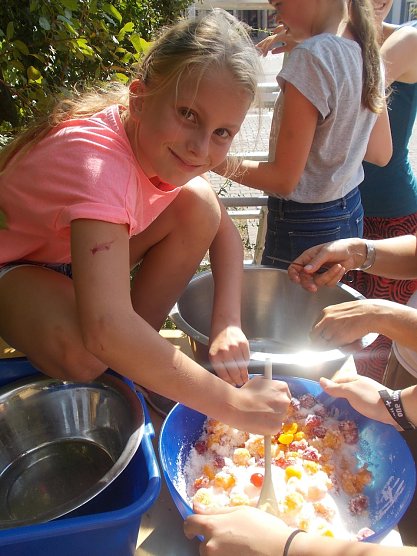 mirabellen (Foto: KiLa NDH)