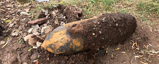 Der Blindg&auml;nger (Foto: nnz)