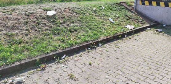 Nach dem Picknick (Foto: privat)