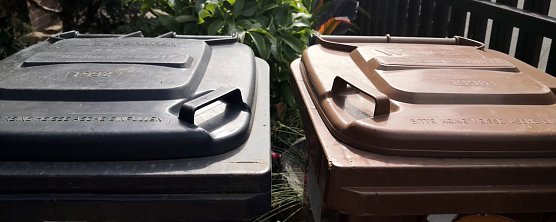 Die Entsorgung der beiden Tonnen k&ouml;nnte bald teurer werden (Foto: nnz)