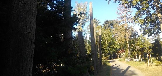 Trockene B&auml;ume unterliegen dem Datenschutz in Nordhausen (Foto: nnz)