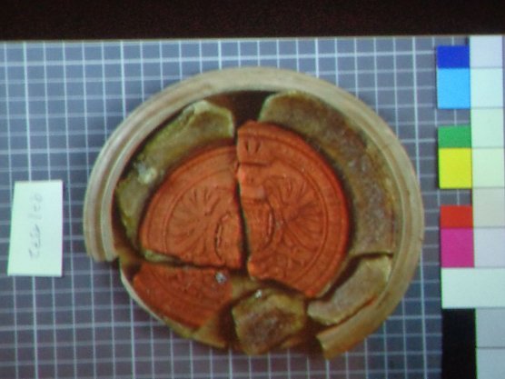 Vortrag zu historischem Sensationsfund (Foto: Hans-Georg Backhaus) Vortrag zu historischem Sensationsfund (Foto: Hans-Georg Backhaus)