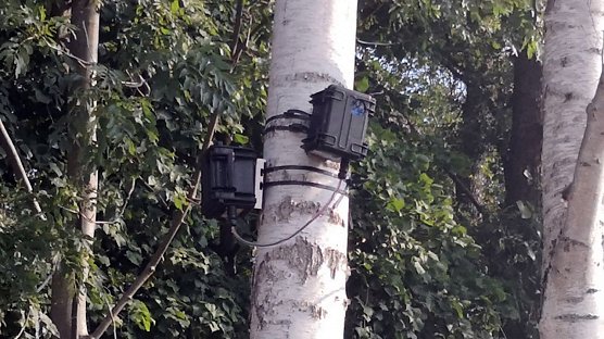 Wer geh&ouml;ren die Kameras? (Foto: nnz)