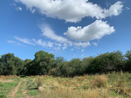 wetter (Foto: oas) wetter (Foto: oas)