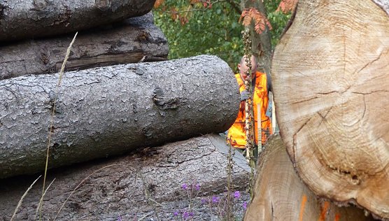 Tolle Aktion (Foto: nnz)