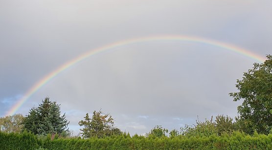 Herbst (Foto: Dirk Schwarze)