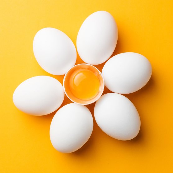 ei (Foto: akp public relations ) ei (Foto: akp public relations )