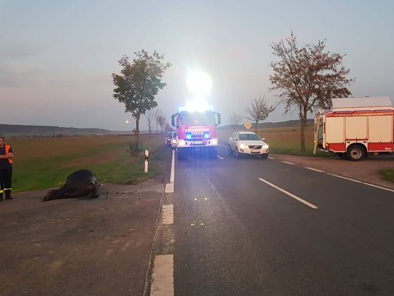 Unfall (Foto: FFW Bad Frankenhausen)