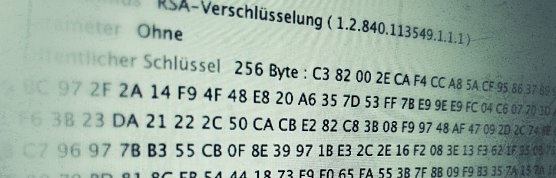 Zertifikat (Foto: VGF)