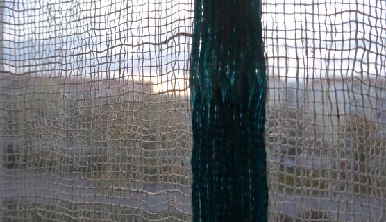 Dichterst&auml;tte (Foto: Heidelore Knebel)