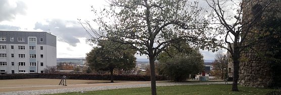 Blick auf das LGS-Gel&auml;nde (Foto: nnz)
