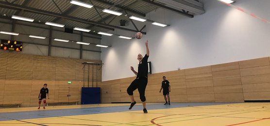 faustball (Foto: LV Altstadt)