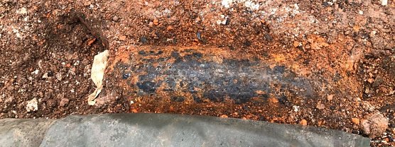 Das ist der Blindg&auml;nger (Foto: privat)