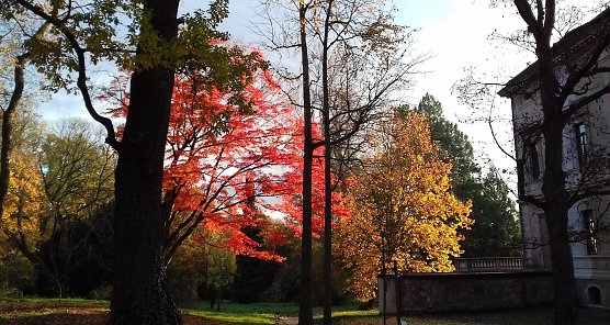 Indian summer (Foto: Michael M&uuml;ller)