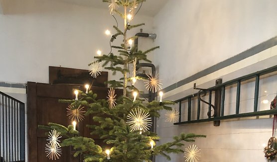 Advent im Park (Foto: Hannelore Haase)