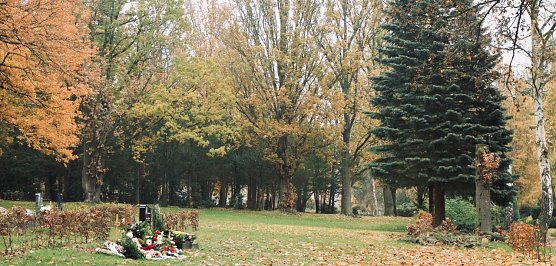 Nordh&auml;user Hauptfriedhof (Foto: Angelo Glashagel)
