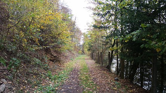 Naturpark S&uuml;dharz (Foto: Doris Berberich)