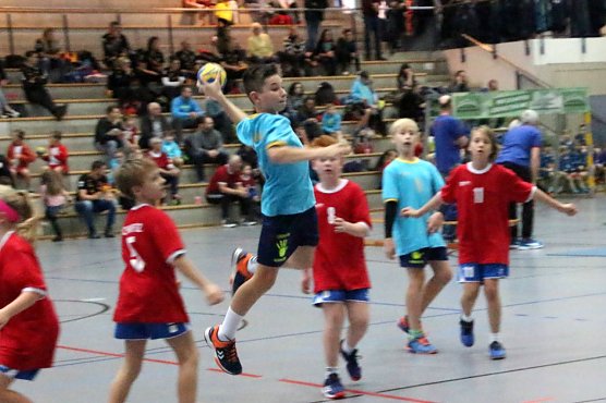 Th&uuml;ringer Handball-Mini-Europameisterschaft (Foto: Uwe Tittel)