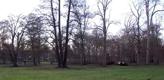 Stadtpark (Foto: Kurt Frank)