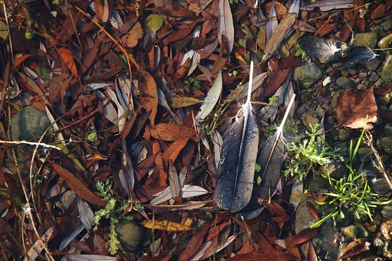 Wetterbild (Foto: Angelo Glashagel) Wetterbild (Foto: Angelo Glashagel)