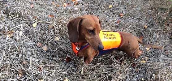 Eddy (Foto: S.Dietzel)